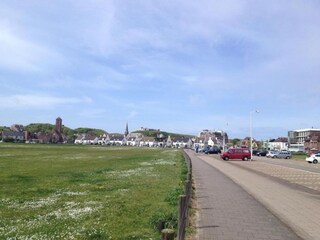 Parc de vacances Wijk aan Zee Environnement 31