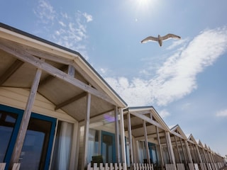 Ferienpark Wijk aan Zee Umgebung 37