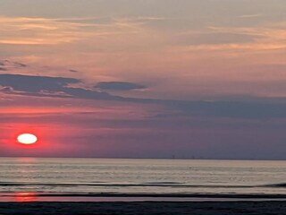 Holiday park Wijk aan Zee Environment 20