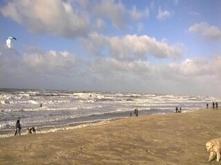 Parc de vacances Wijk aan Zee Environnement 13