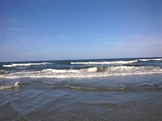 Parc de vacances Wijk aan Zee Environnement 30