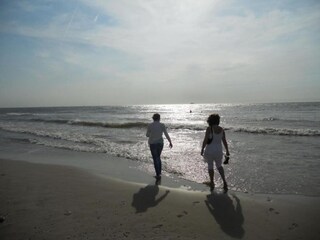 Parc de vacances Wijk aan Zee Environnement 21