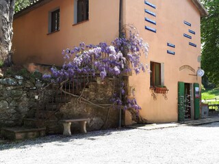 Appartamento per vacanze Seggiano Registrazione all'aperto 2