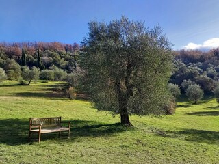 Appartamento per vacanze Seggiano Ambiente 16