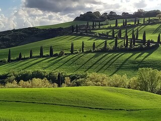 Appartamento per vacanze Seggiano Ambiente 17
