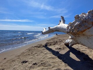 Appartamento per vacanze Seggiano Ambiente 19