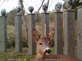Appartamento per vacanze Seggiano Ambiente 22