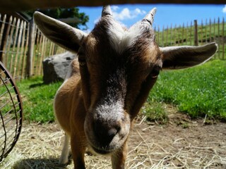 Appartamento per vacanze Wessling Ambiente 9