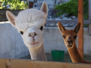 Vakantieappartement Wessling Omgeving 8