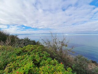 Ferienhaus Tisvildeleje  48