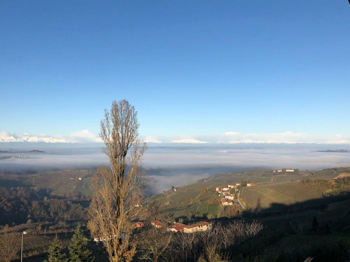 Aussicht an einem klaren Tag: 270 Grad Alpen