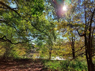 Spiegelweiher im Herbst