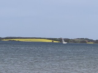 Casa per le vacanze Westerholz Ambiente 34