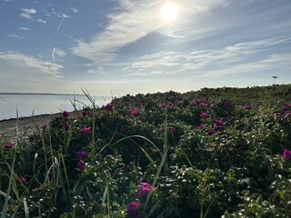 Casa per le vacanze Westerholz Ambiente 39