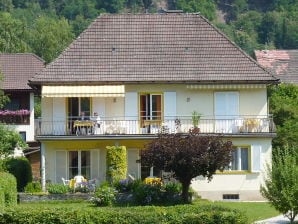 Holiday apartment Haus Pacher - Steindorf - image1