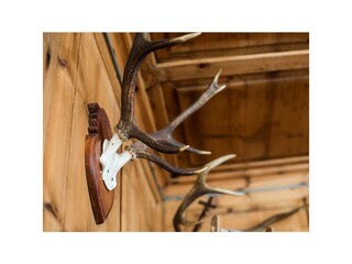 Camera per vacanze Bach Registrazione all'aperto 11