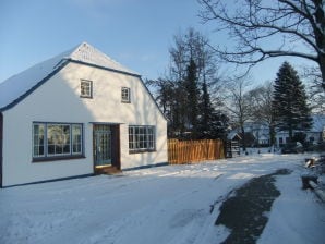 Ferienhaus "Auf der Warft" - Wiarden - image1