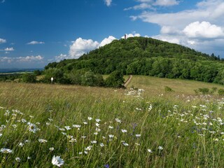 Geisingberg
