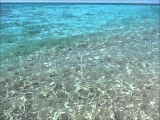 Apartment Martina Franca Environment 28