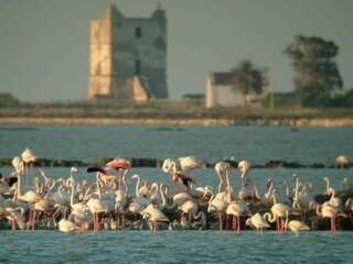 Apartamento Martina Franca Entorno 27