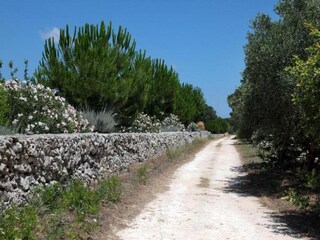 Apartment Martina Franca Environment 40
