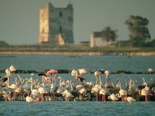 Apartamento Martina Franca Entorno 32