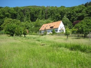 Holiday apartment Naturoase Quasthoff - Neustadt an der Weinstrasse - image1