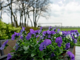 Spielplatz