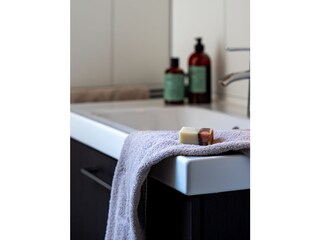 Casa per le vacanze Tilburg Caratteristiche 20