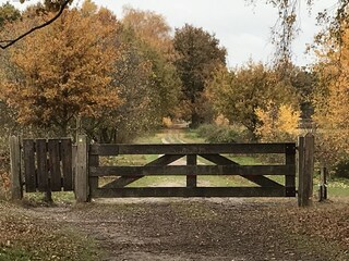 Casa per le vacanze Tilburg Ambiente 22