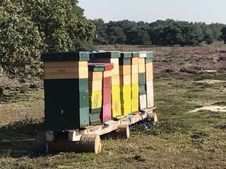 Casa per le vacanze Tilburg Ambiente 23