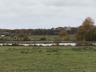 Casa per le vacanze Tilburg Ambiente 27