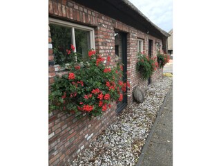 Holiday house Tilburg Outdoor Recording 7