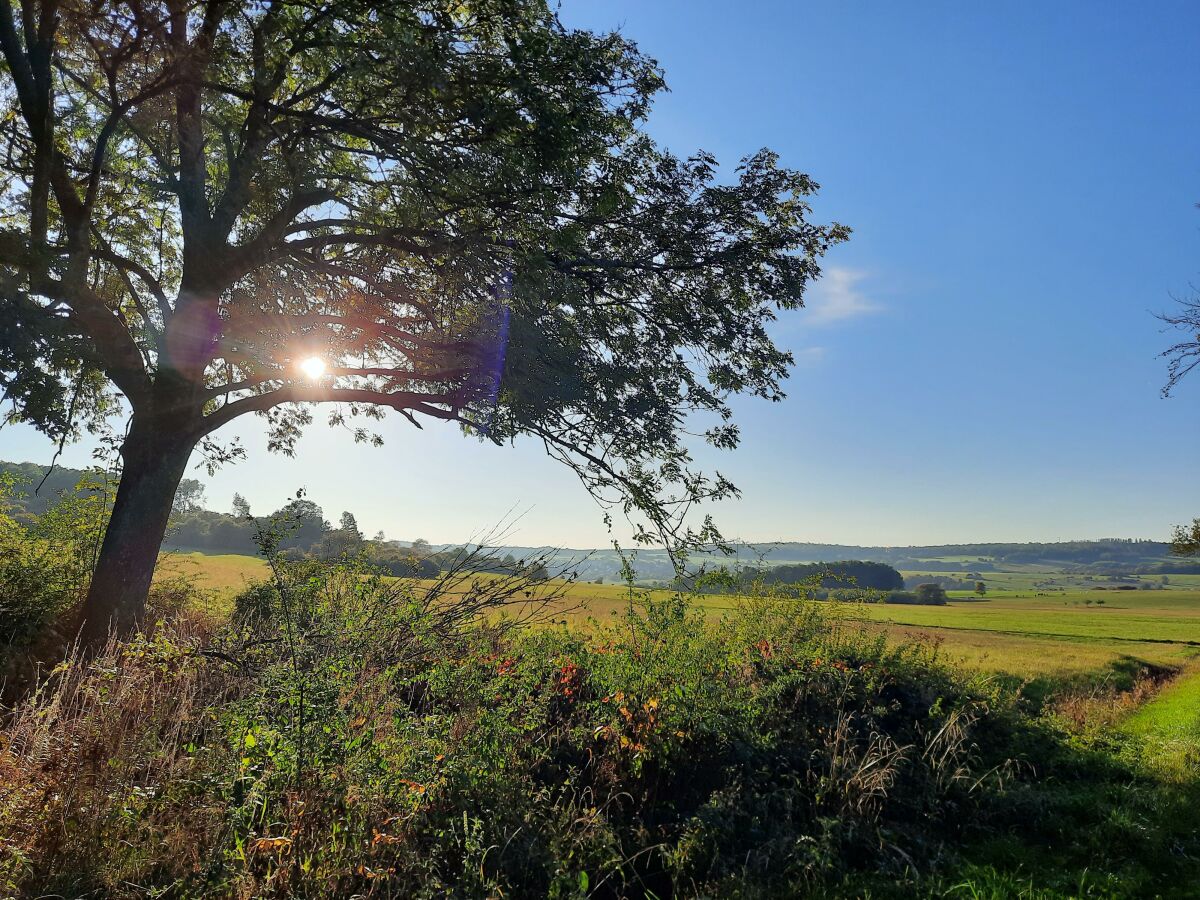 Wanderweg in Elsoff