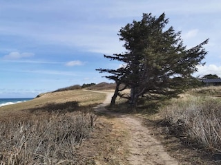 Ferienhaus Gilleleje  35
