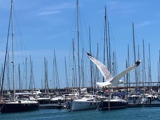 Villa Chelva Ambiente 31