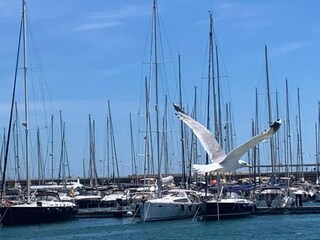 Villa Chelva Ambiente 36