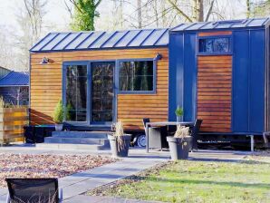 Vakantiehuis Tiny House in Hoogersmilde met tuin en parkeergelegenheid - Appelscha - image1