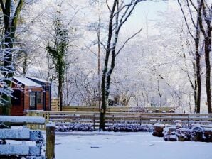 Ferienhaus Tiny House in Hoogersmilde mit Garten und Parkplatz - Appelscha - image1