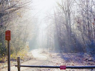 Ferienhaus Appelscha Umgebung 33