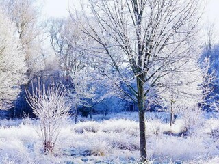 Ferienhaus Appelscha Umgebung 29