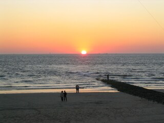 Vakantieappartement Norderney Omgeving 29