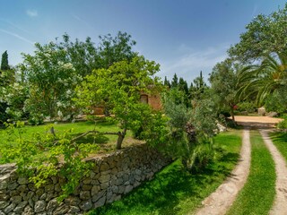 Appartamento Artà  56