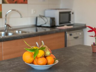 Casa de vacaciones Selva Características 50