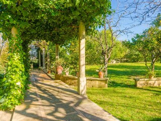 Tenuta Manacor Ambiente 56