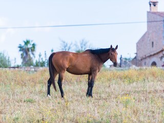 Tenuta Llubi Ambiente 29