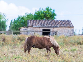 Tenuta Llubi Ambiente 30