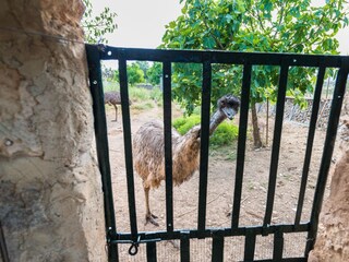 Tenuta Llubi Ambiente 38