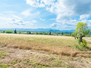 Tenuta Llubi Ambiente 39