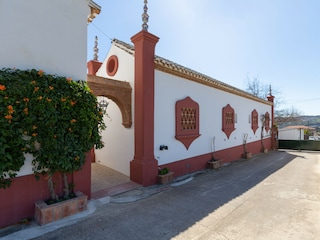 Finca Fuengirola Grabación al aire libre 12